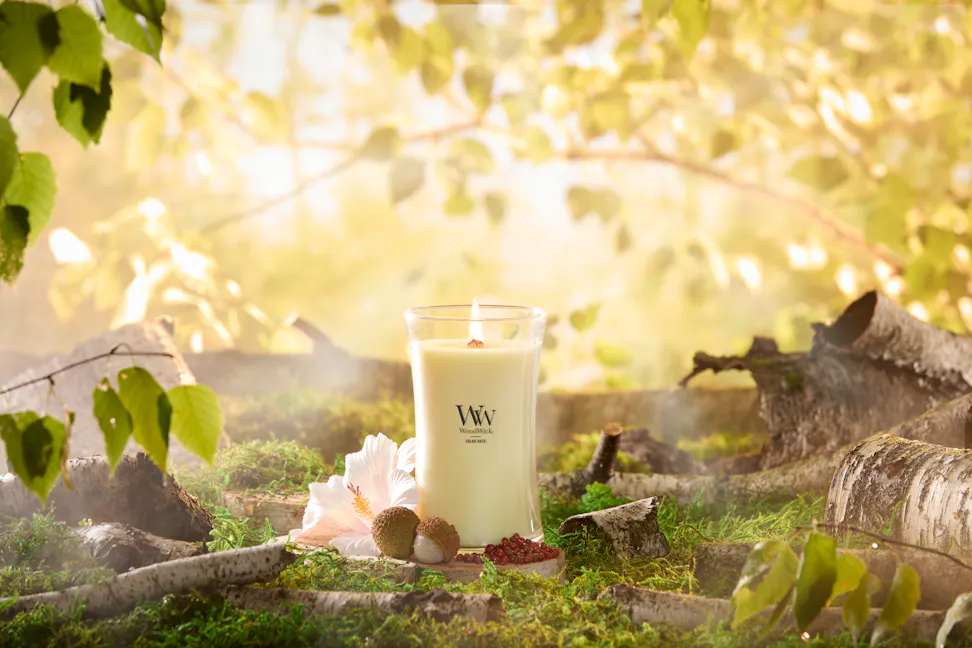 WoodWick Vapour Trails Collection Solar Haze Large Hourglass Candle on a tree stump with a flower and fruit surrounded by tree branches and moss in a forest setting