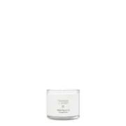 White Spruce & Grapefruit