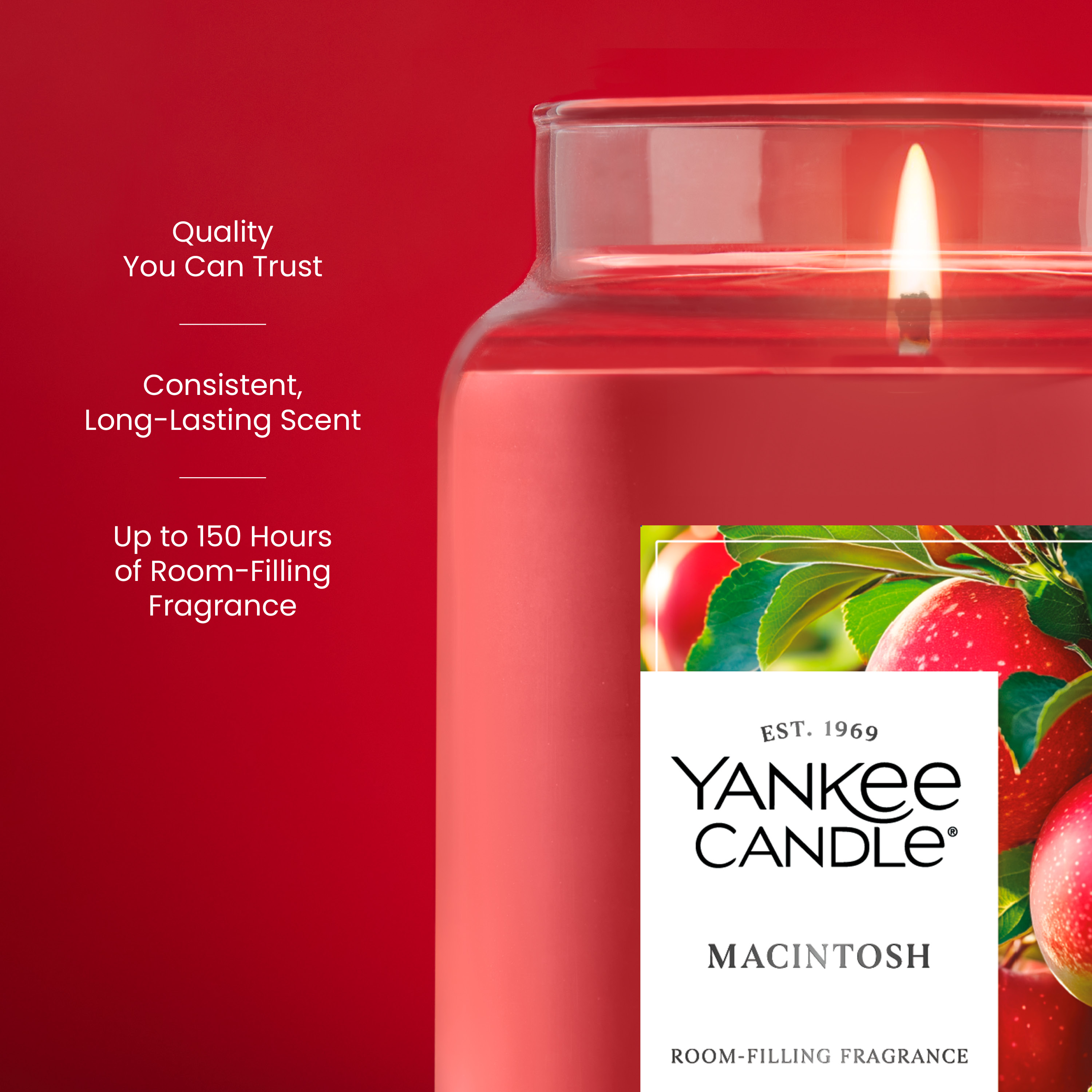 Yankee Candle Macintosh Original Large Jar Candle - Thumbnail 3