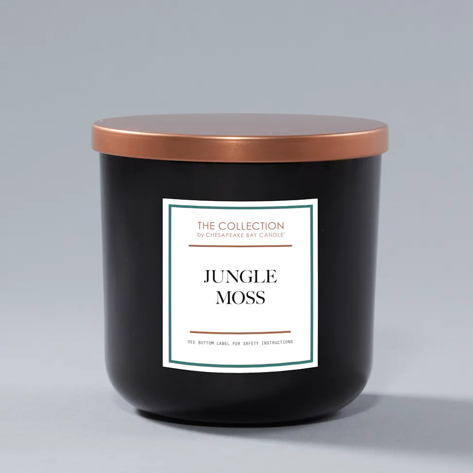Chesapeake Bay Candle Medium 2 Wick Candle Jungle Moss