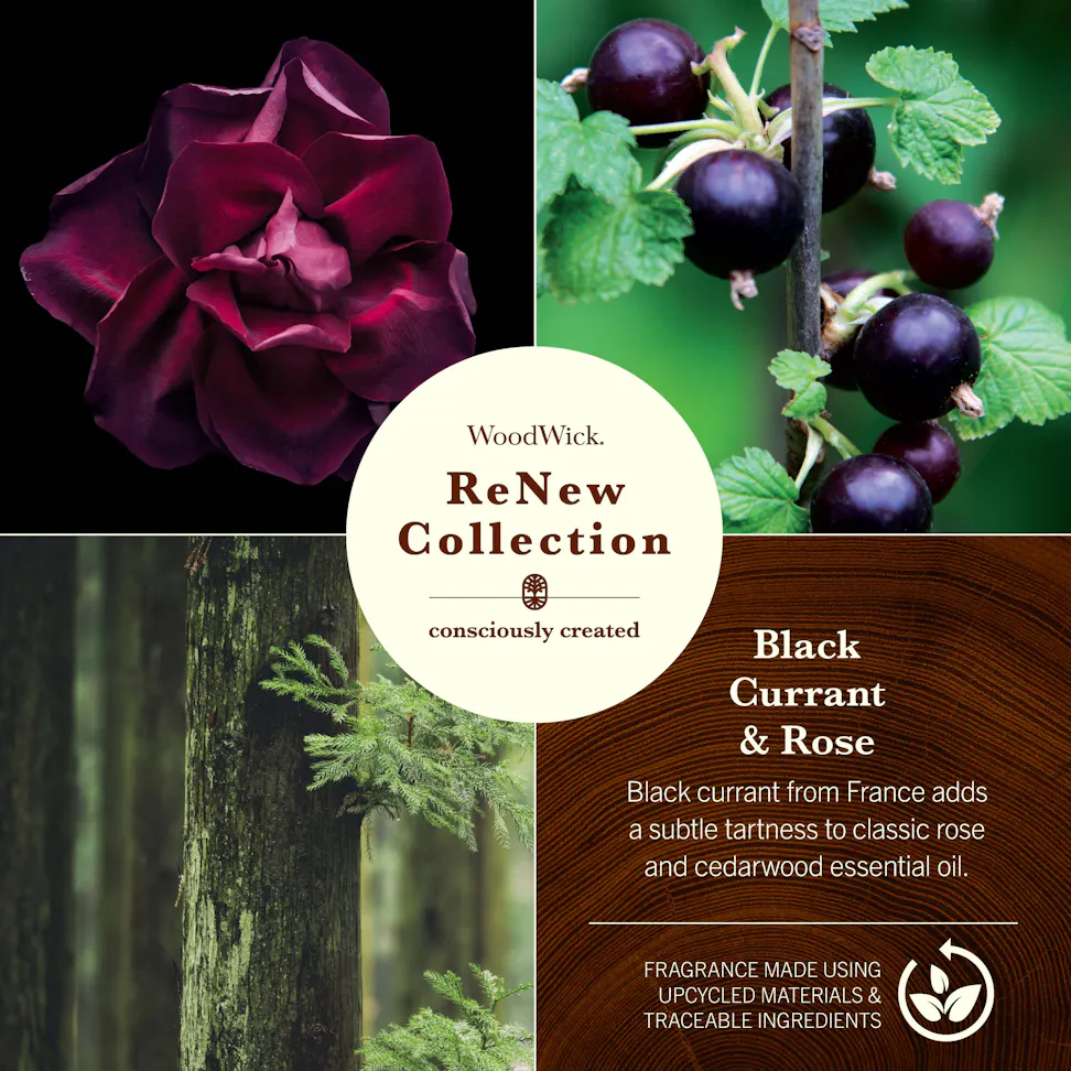 photo collage of woodwick renew collection black currant and rose