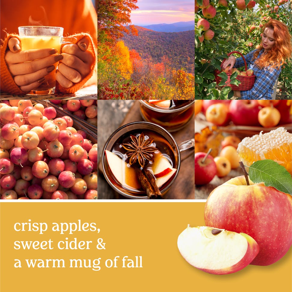 photo collage with apples and text that reads crisp apples, sweet cider and a warm mug of fall