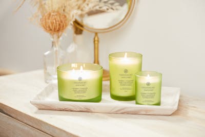 Awaken Invigorate (Lemongrass Eucalyptus) Small Candle Small