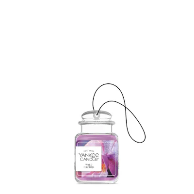 Wild Orchid
