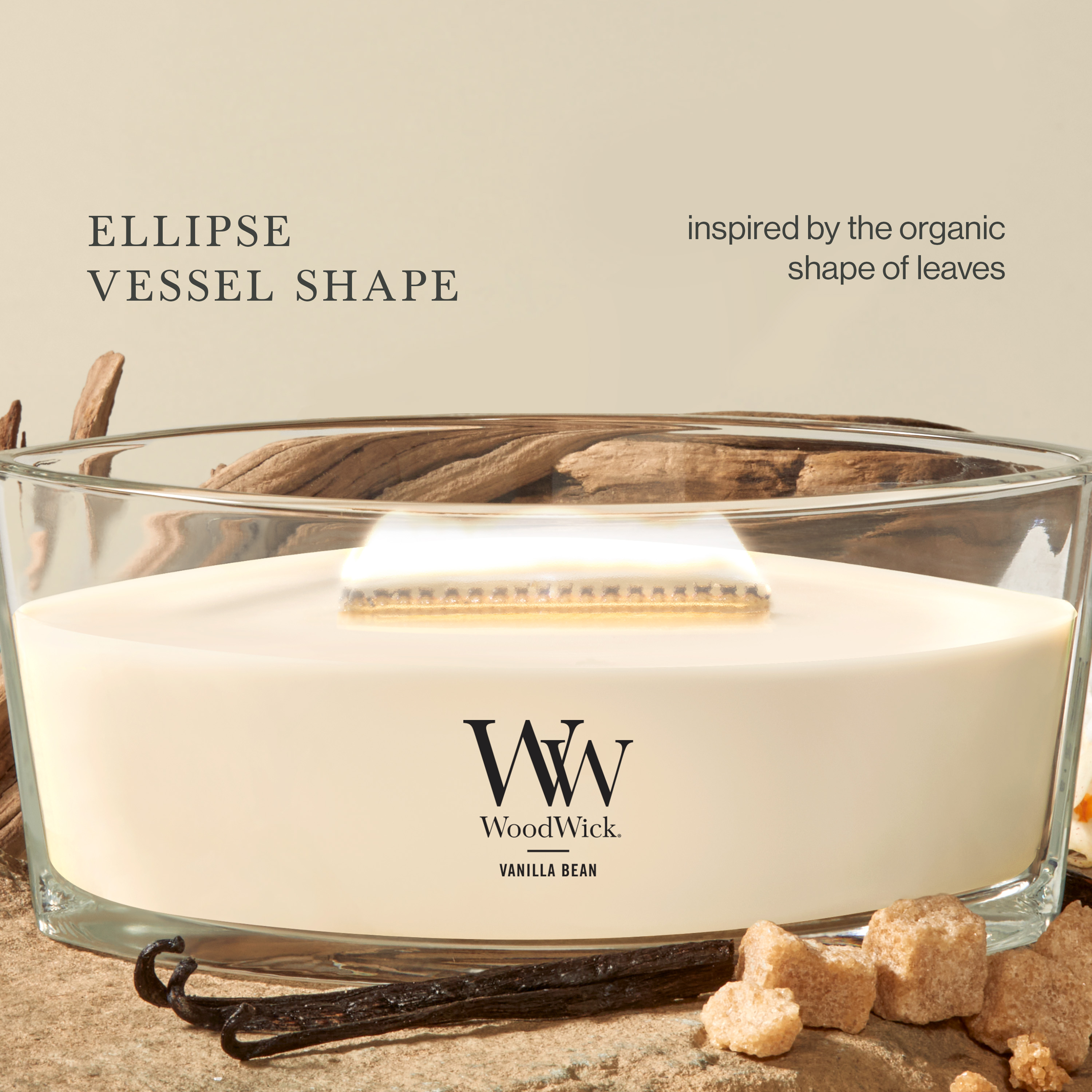 Vanilla Bean WoodWick® Ellipse Candle - Ellipse Candles | Yankee