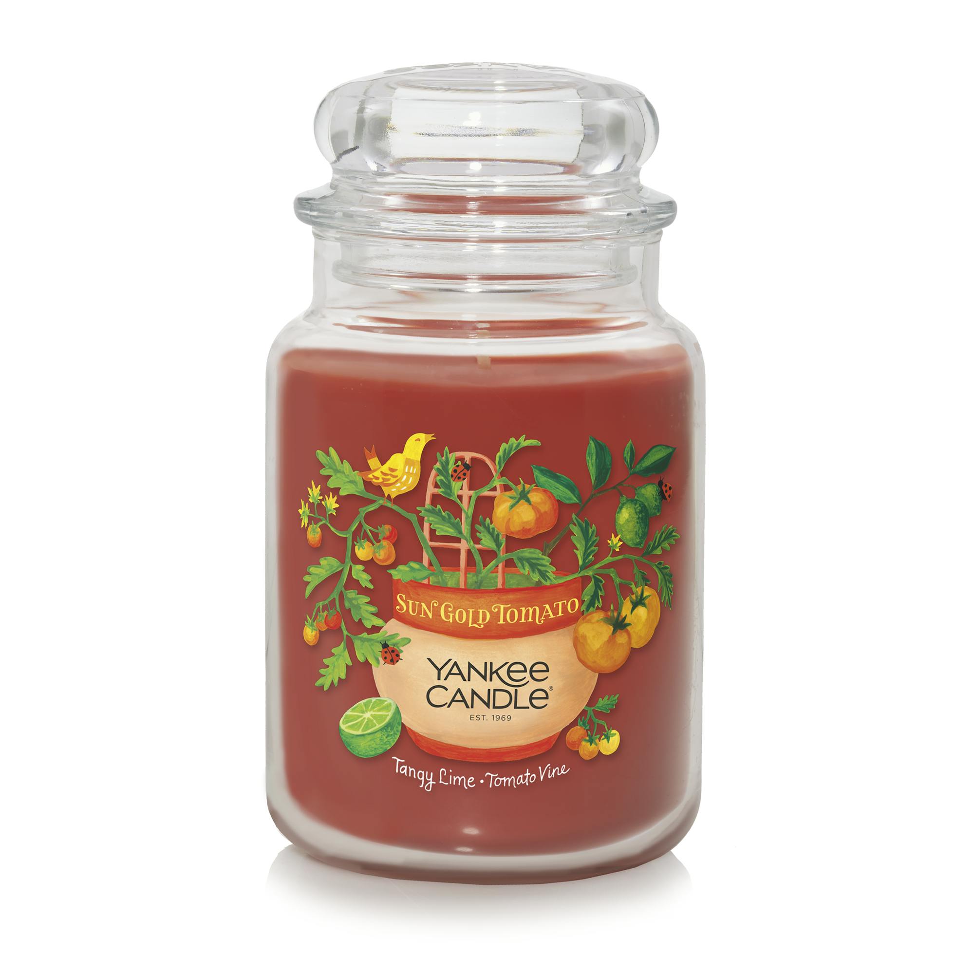 Sun Gold Tomato - Tangy Lime ? Tomato Vine 22 oz. Original Large Jar Candles, 22