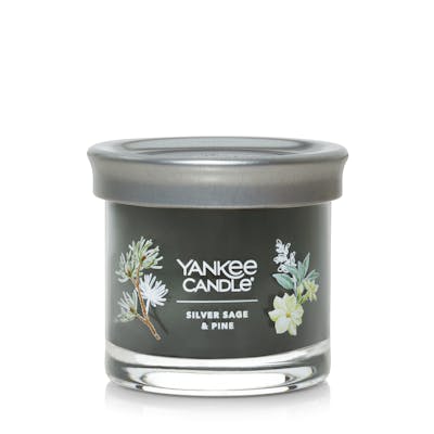 Silver Sage & Pine