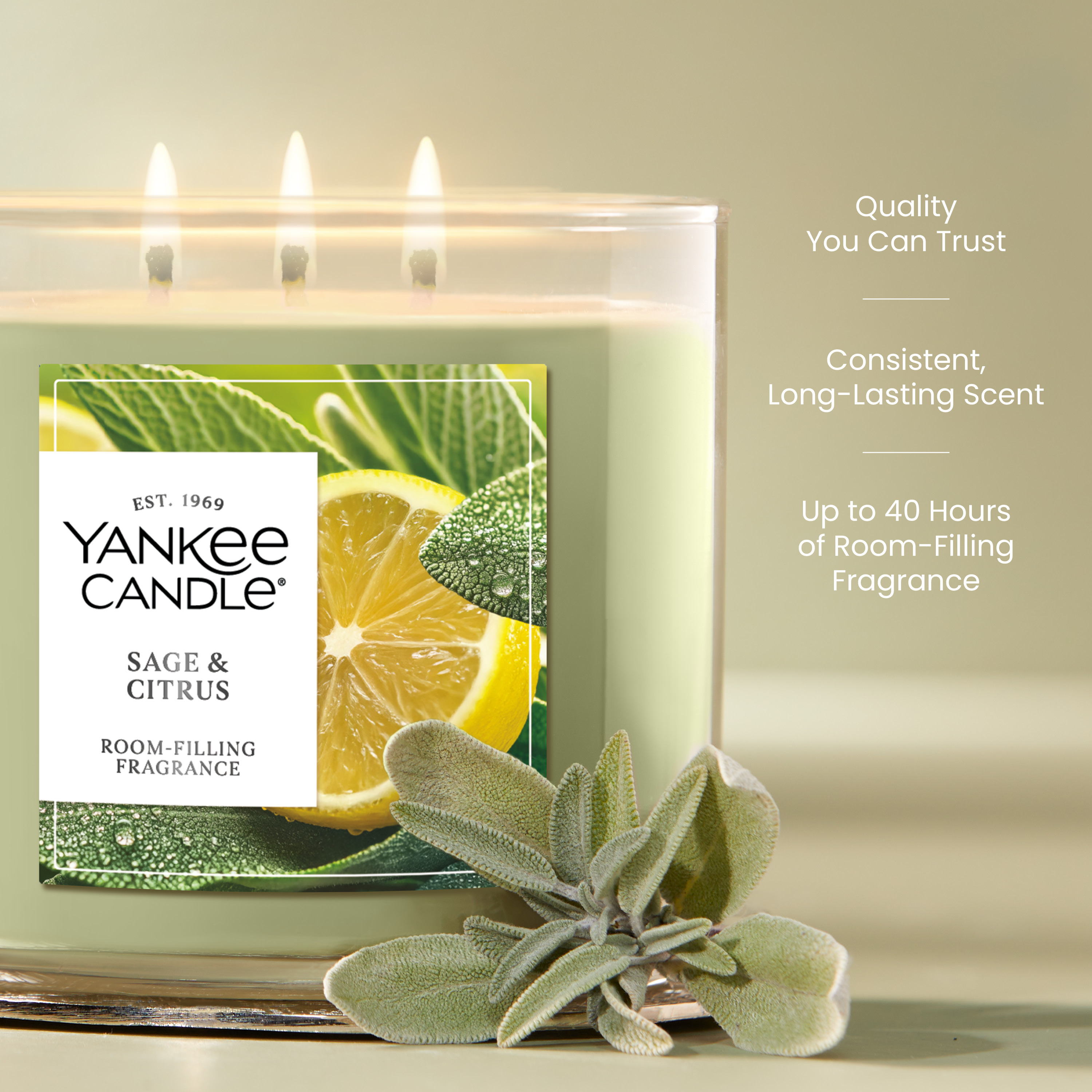 Sage & Citrus 3-Wick Candle - Thumbnail 3