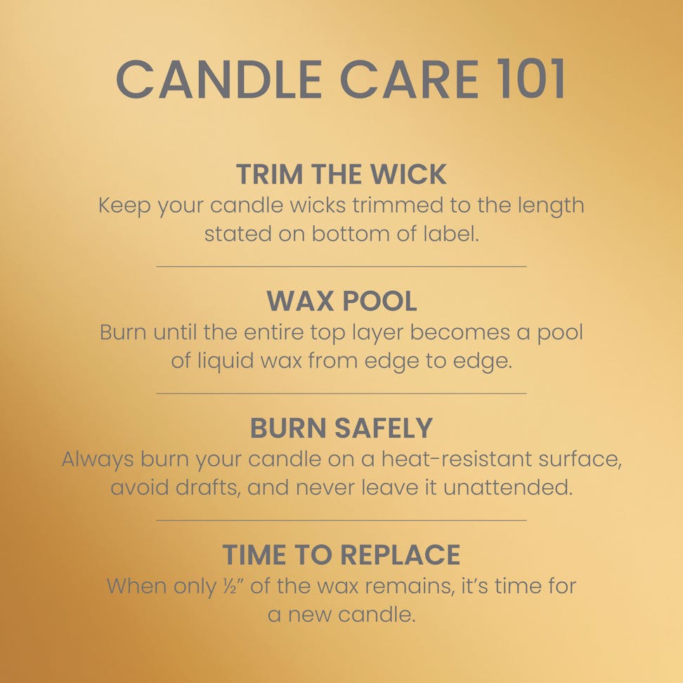 https://yankeecandle.imgix.net/287a3a3f-a53b-3314-8d66-33f0b77db2e0/287a3a3f-a53b-3314-8d66-33f0b77db2e0.jpg