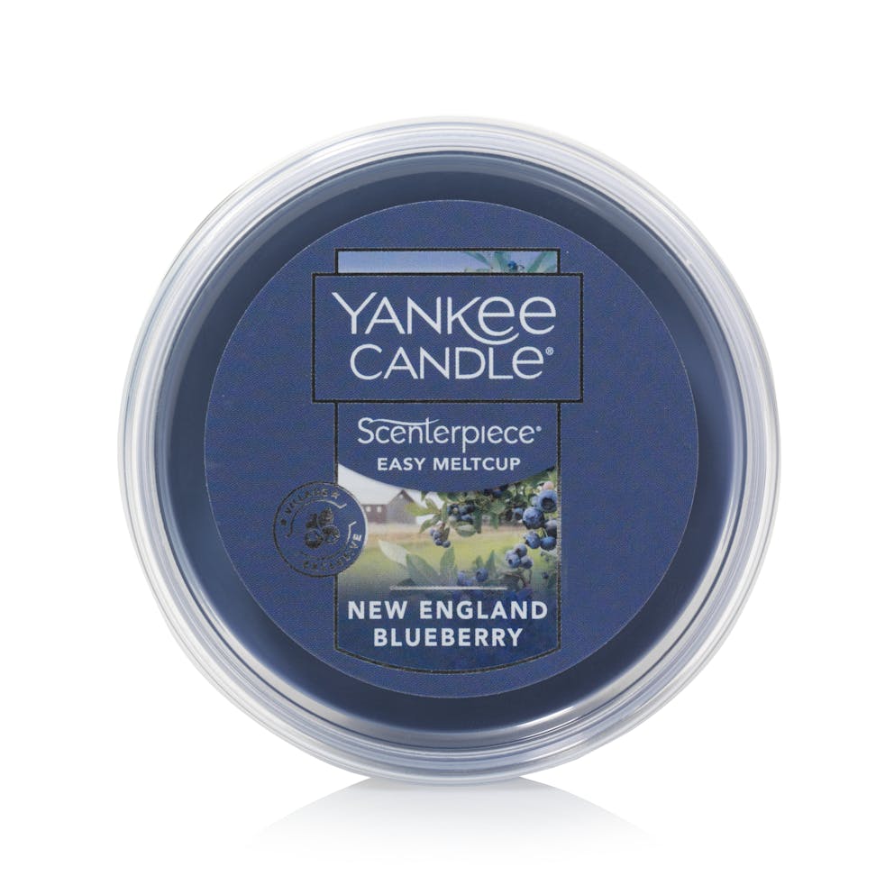 new england blueberry fall scenterpiece easy meltcups