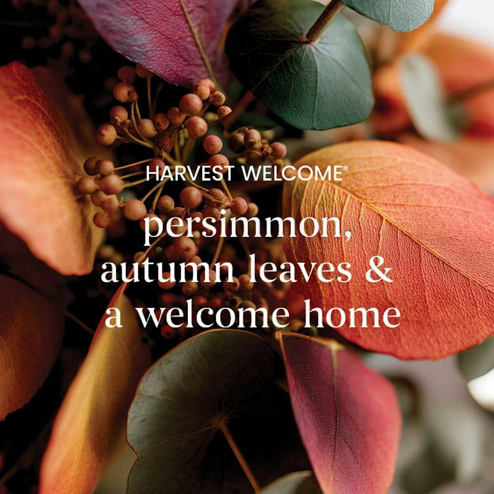 Harvest Welcome