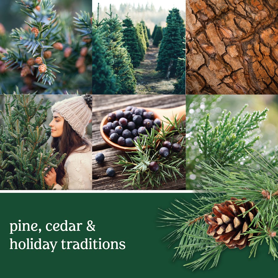 balsam and cedar mood board that says pine, cedar and holiday traditions
