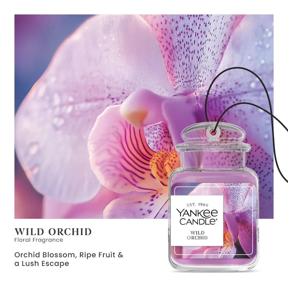 Wild Orchid