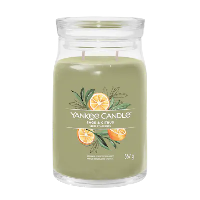 DW Home | Seagrass Shores Scented Candle | Premium Wax & Lead-Free Wicks | Large Double Wick | High Quality Fragrances For Every Home