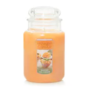 mango ice cream original large jar candle