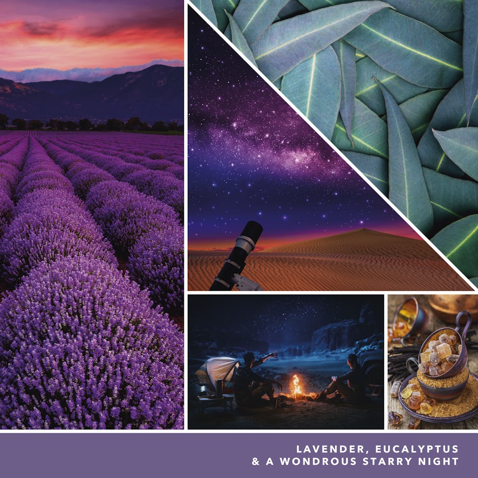 fragrance notes images with lavender eucalyptus and a wondrous starry night