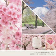 photo collage and text reading cherry blossoms, red berries and a spring festival