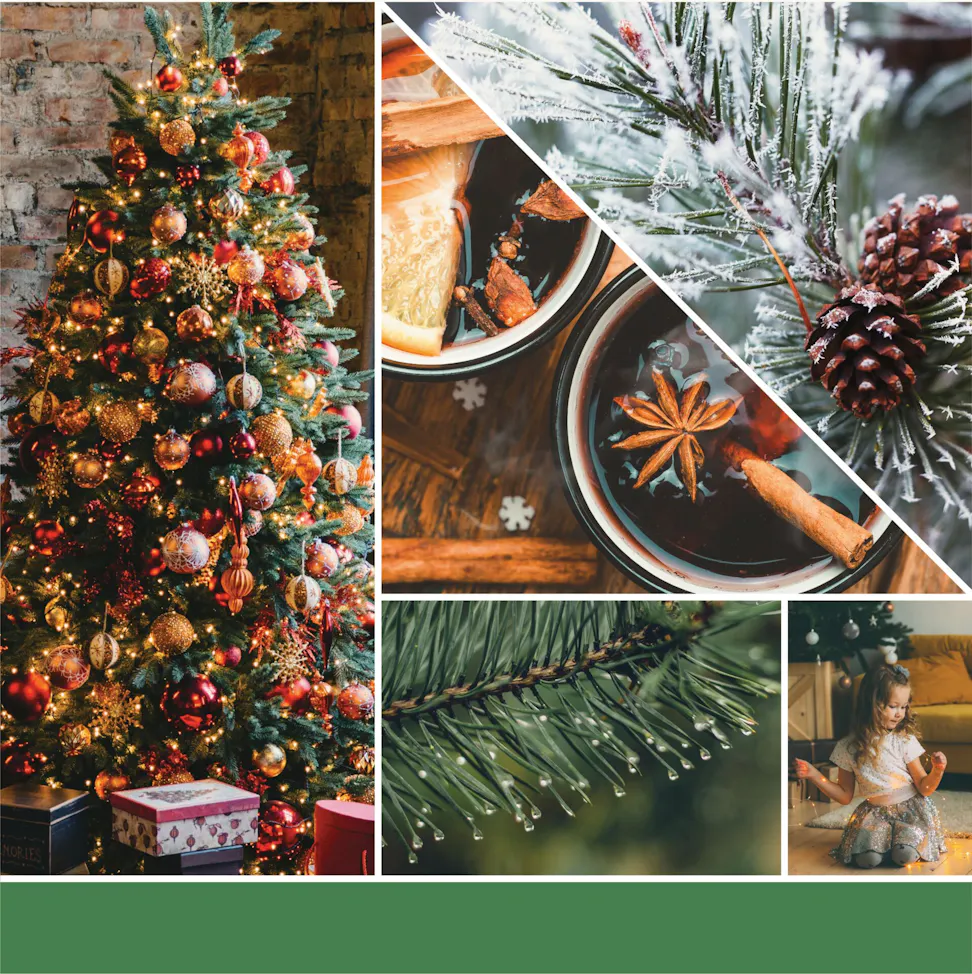 a fragrance in 2D image featuring a christmas tree, balsam sprigs, pinecones, tea, and a young girl