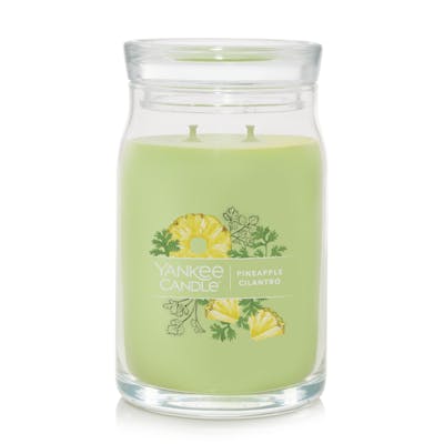 Pineapple Cilantro