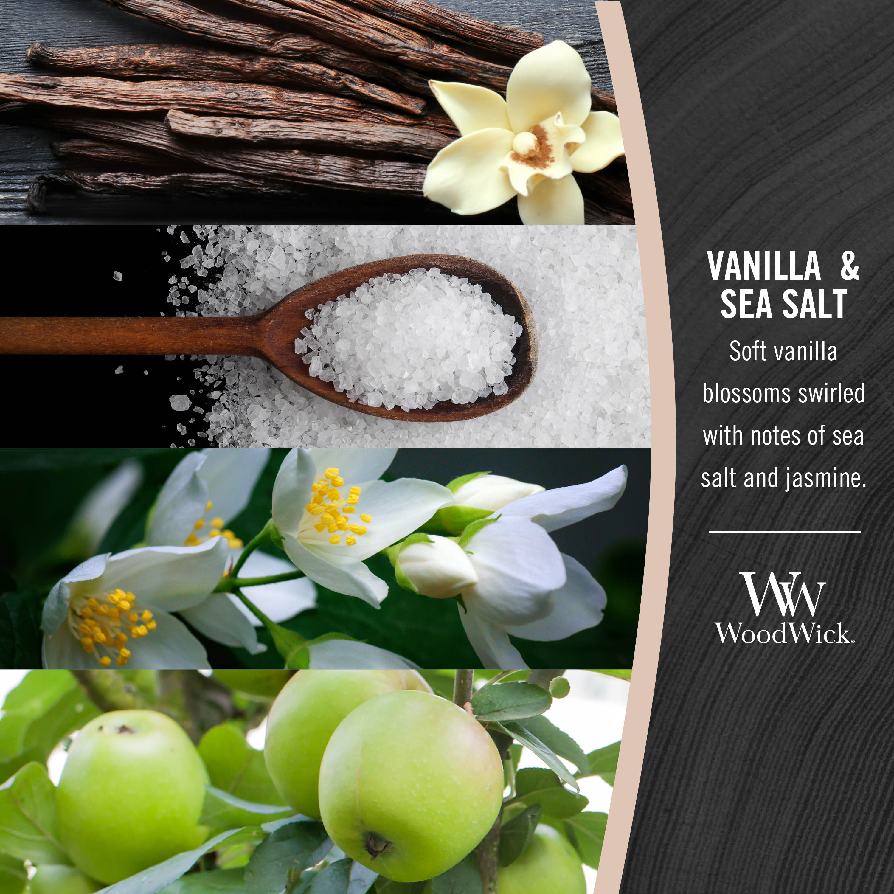 Vanilla & Sea Salt WoodWick® Medium Hourglass Candle - Medium