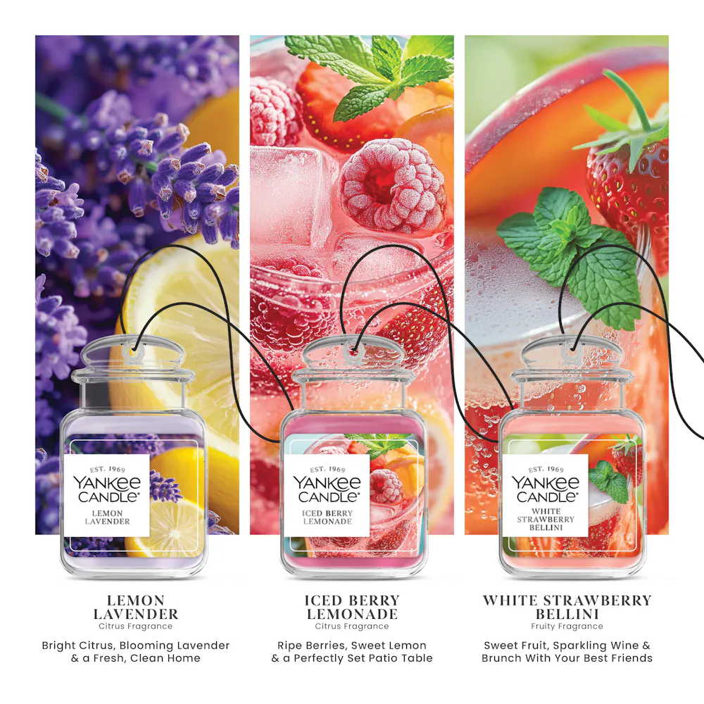 Lemon Lavender / Iced Berry Lemonade / White Strawberry Bellini 