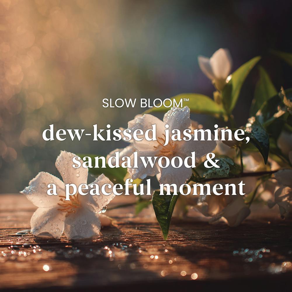 Slow Bloom