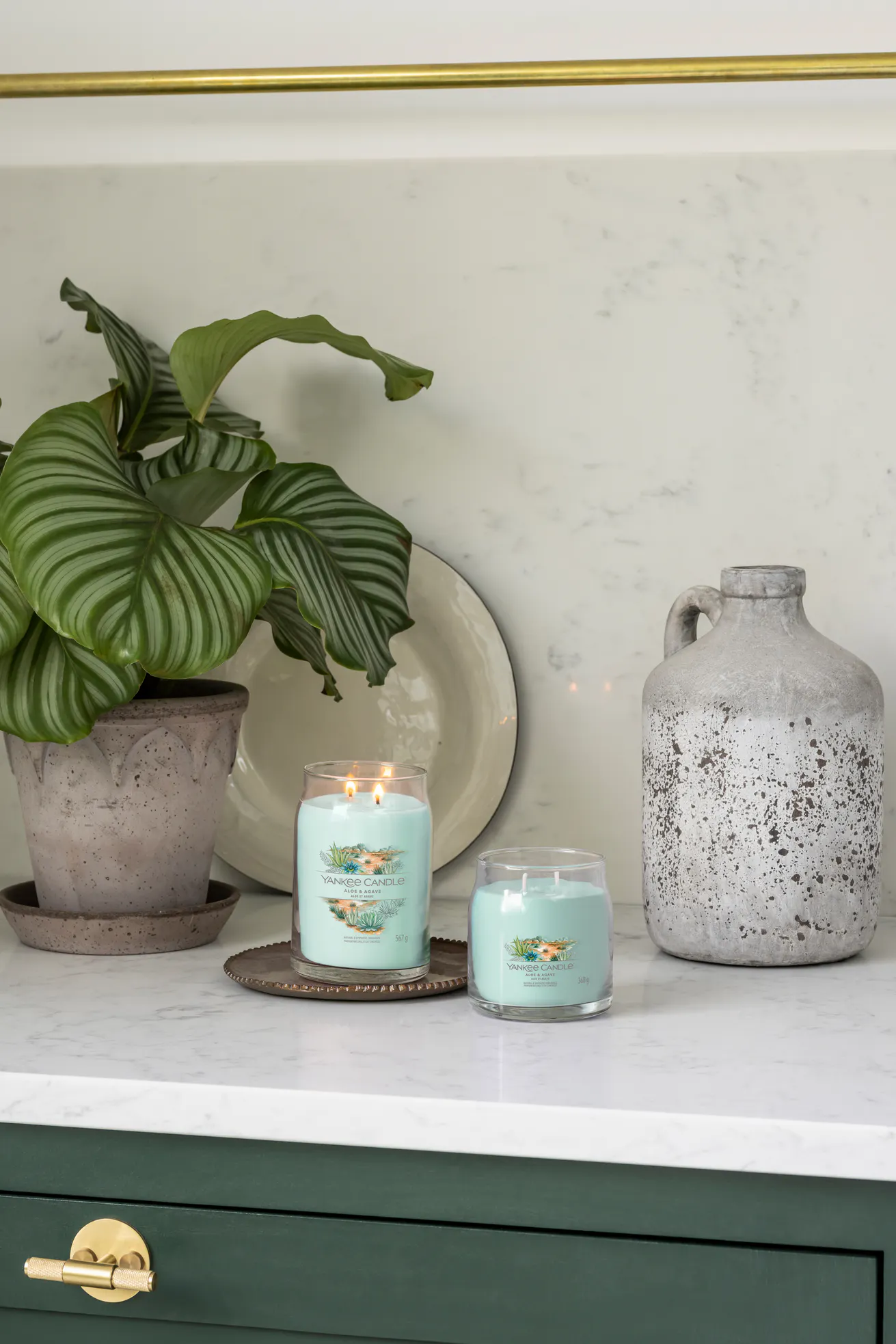 Aloe & Agave Signature Medium Jar Candle | Yankee Candle