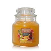 tropical starfruit small jar candles