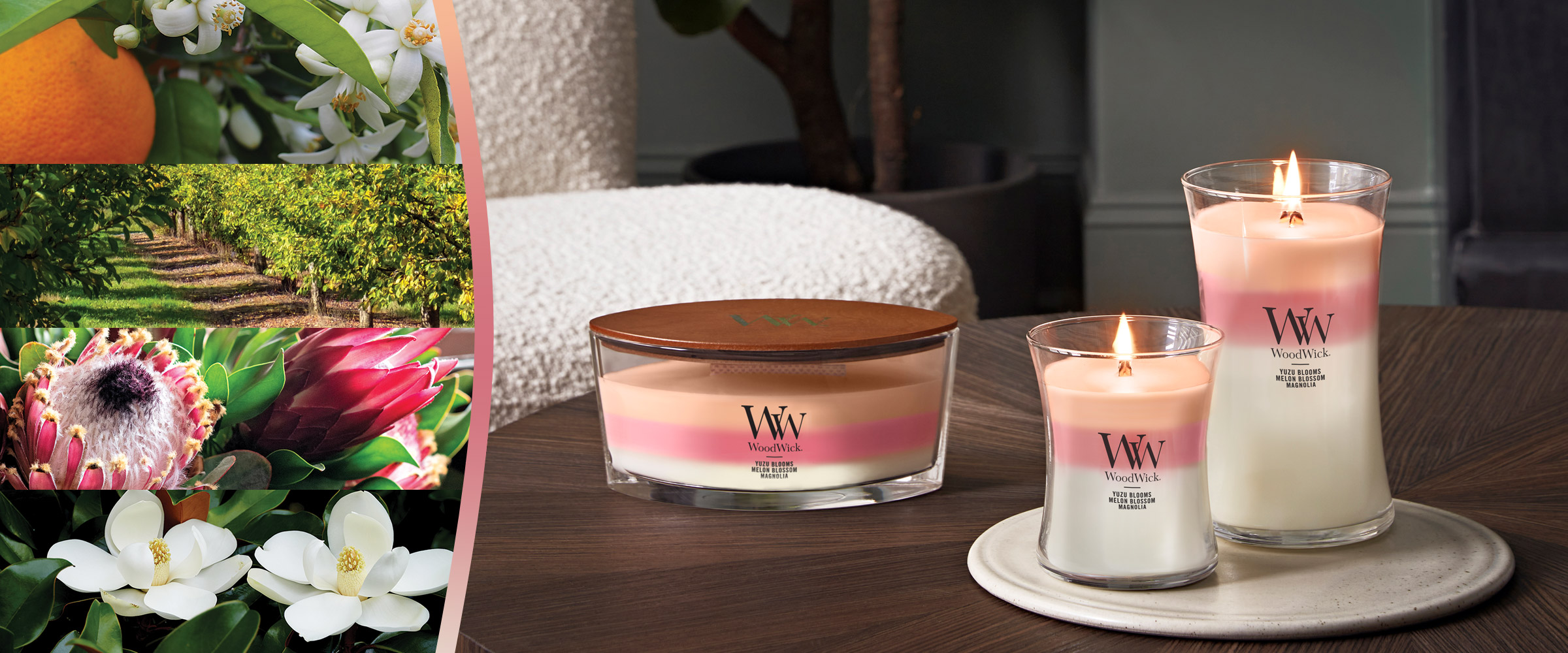 WoodWick Candle | Candles, Air Fresheners & Home Fragrance