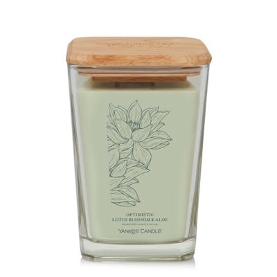 Optimistic Lotus Blossom & Aloe