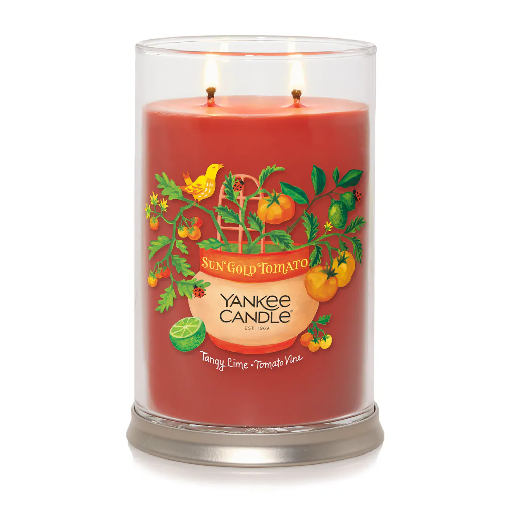 Sun Gold Tomato - Tangy Lime · Tomato Vine