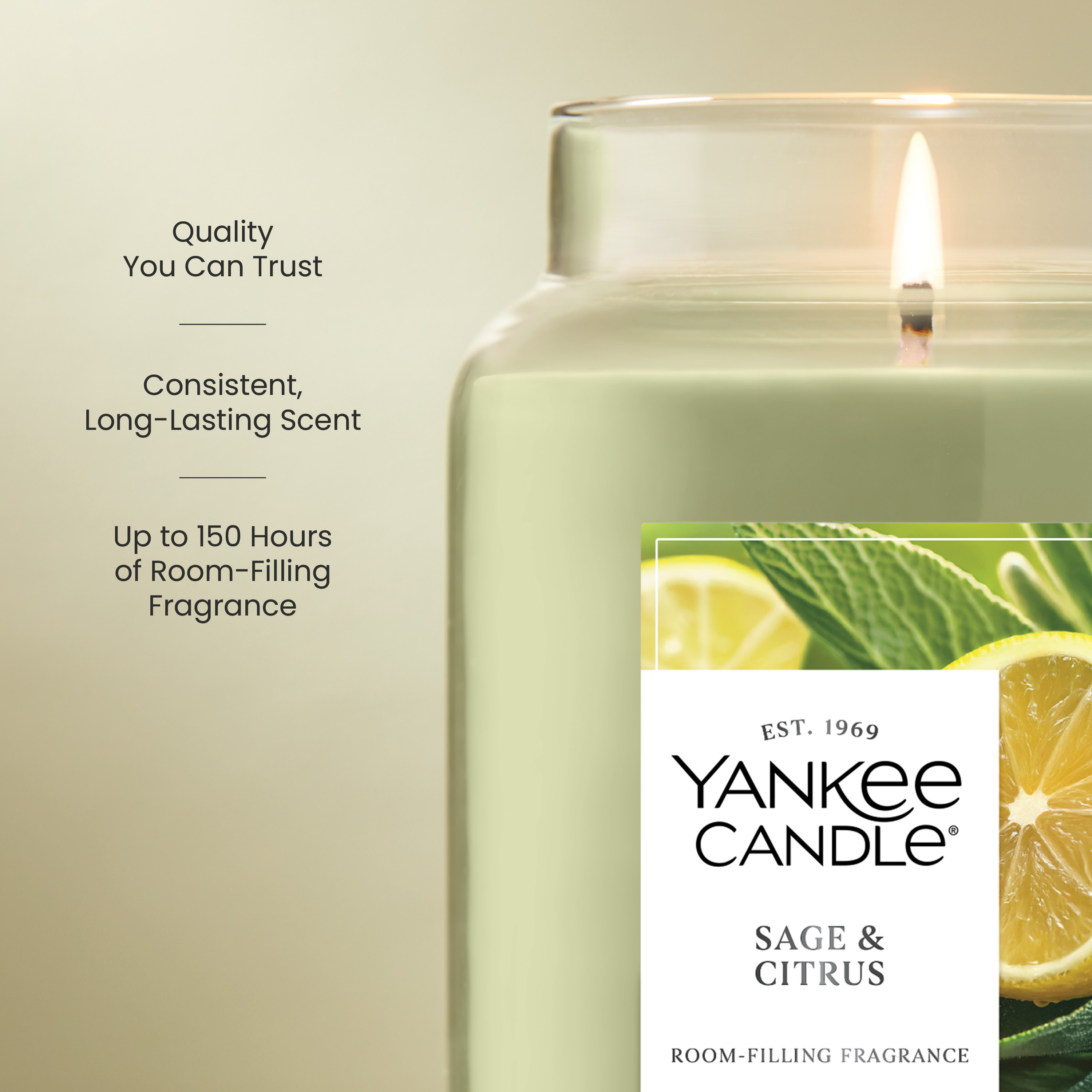 Sage & Citrus Original Large Jar Candle - Thumbnail 3