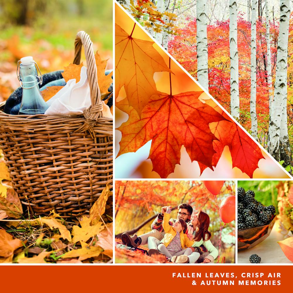 Autumn Leaves®