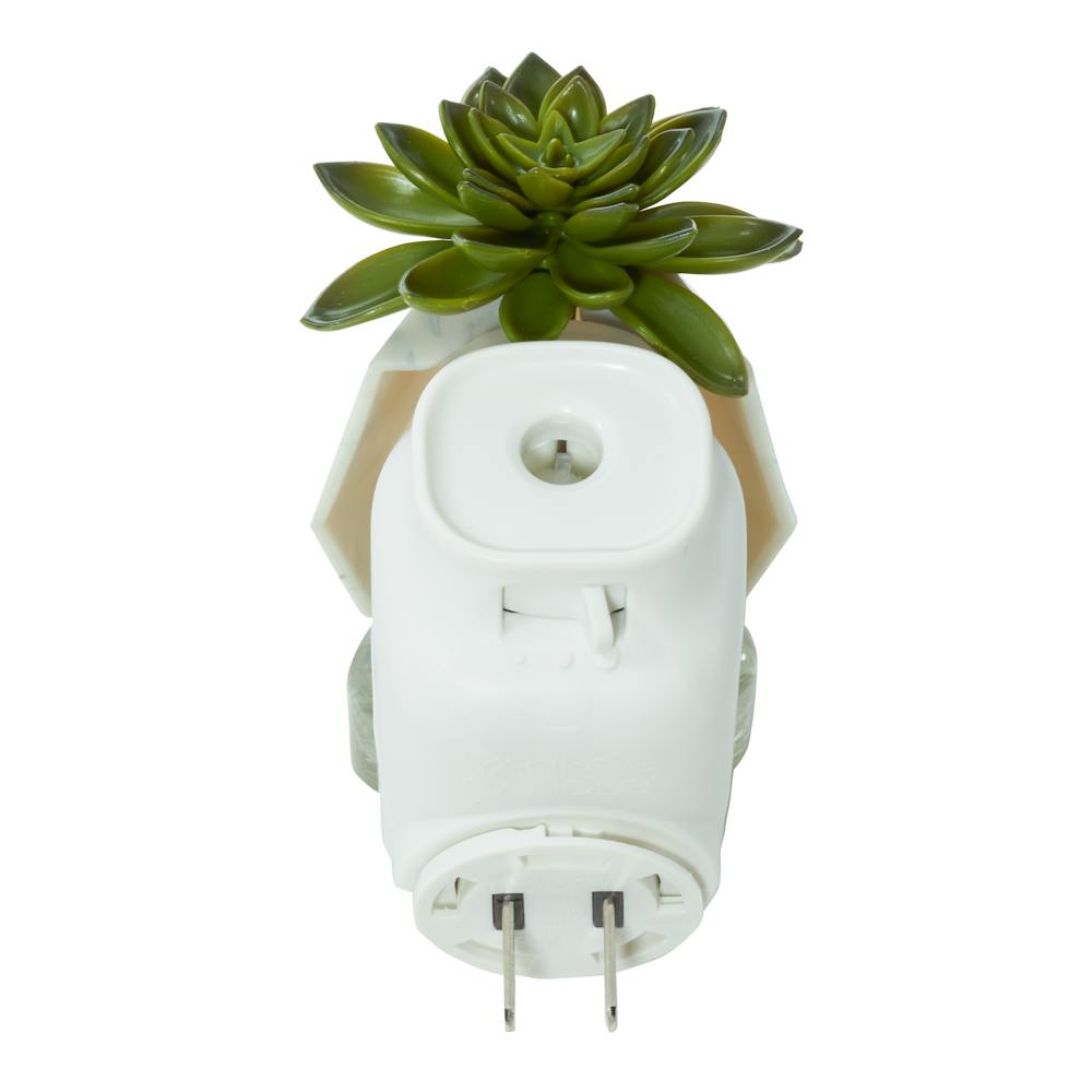 Faceted Succulent ScentPlug® Diffuser w/ Light