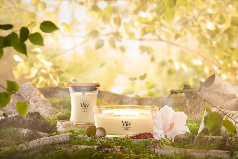 WoodWick Vapour Trails Collection Solar Haze Medium Hourglass Candle and Solar Haze Ellipse Candle on tree stumps surrounded by trees, tree branches, a flower, and fruit
