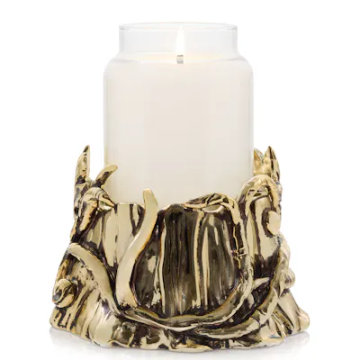 Enchanted Tree Holder