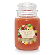 fruit fusion large jar candles