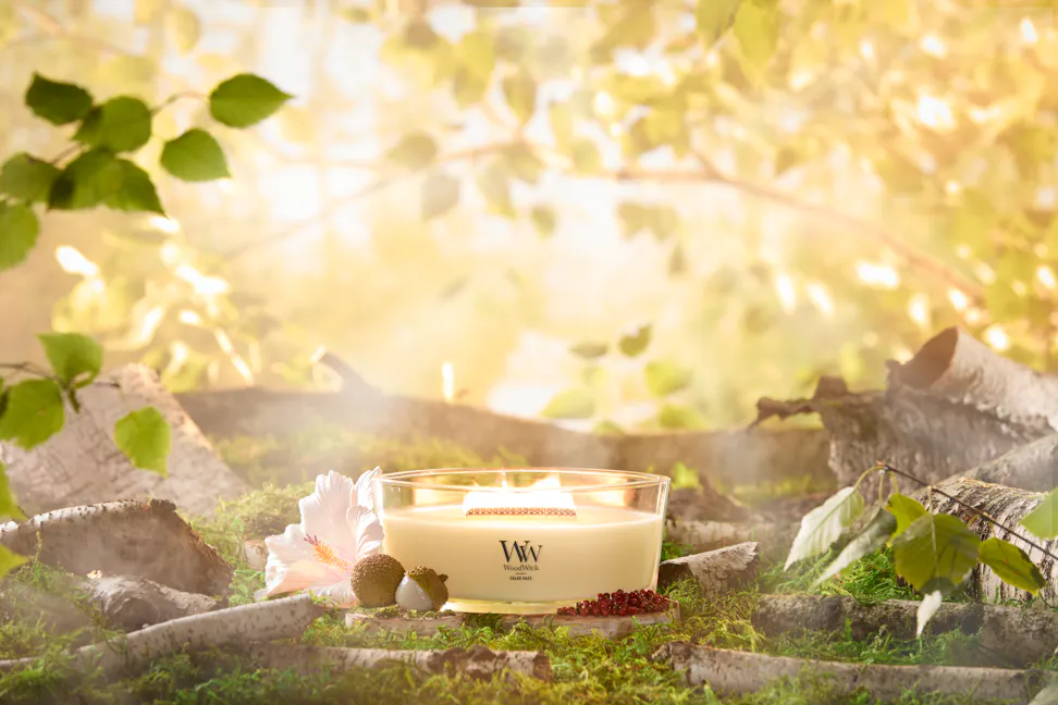 WoodWick Vapour Trails Collection Solar Haze Ellipse Candle on a tree stump with a flower and fruit surrounded by tree branches in a forest setting