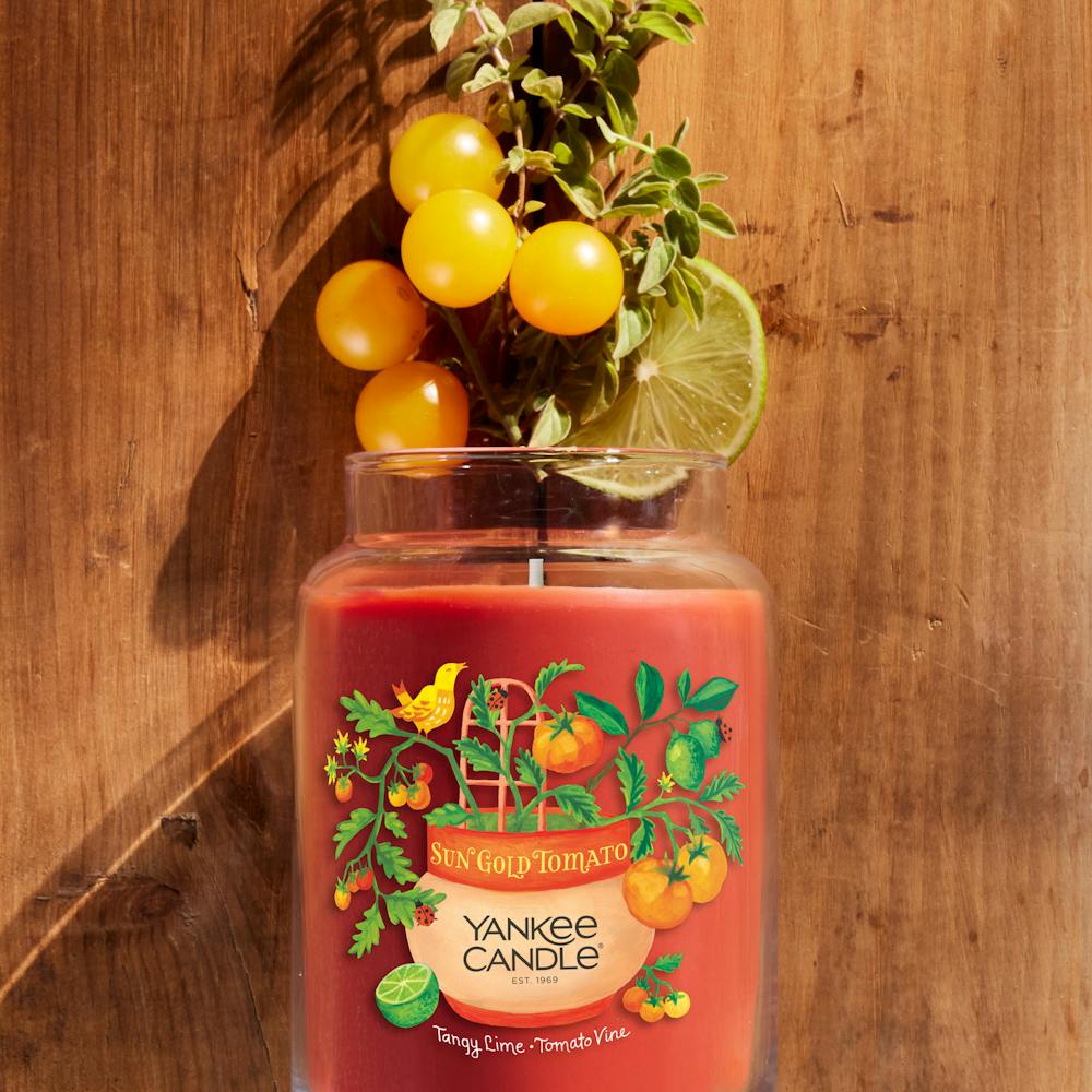 Sun Gold Tomato - Tangy Lime · Tomato Vine