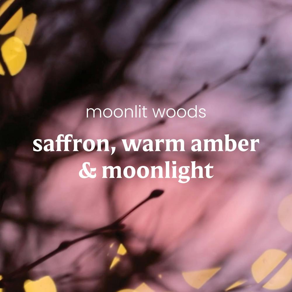 Moonlit Woods