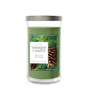 Balsam & Cedar