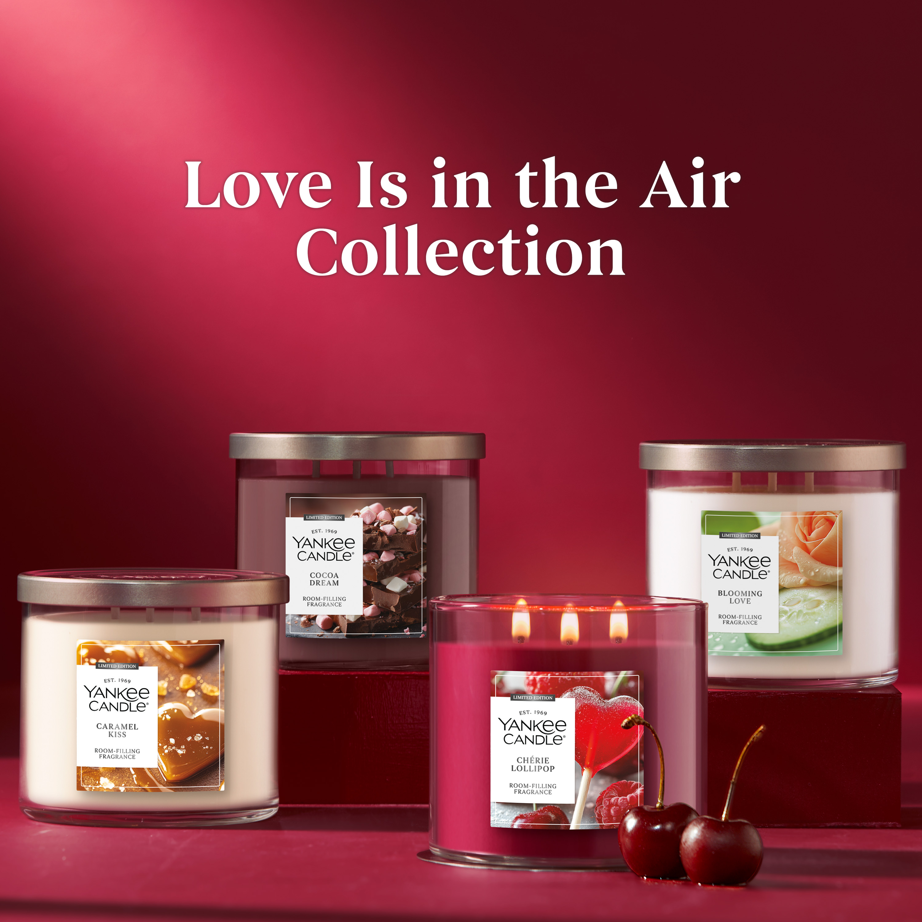 Cocoa Dream - Thumbnail 5