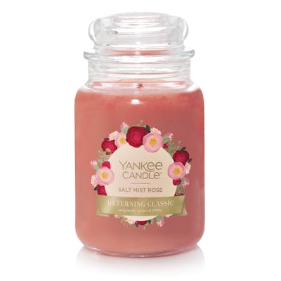 Salt Mist Rose
