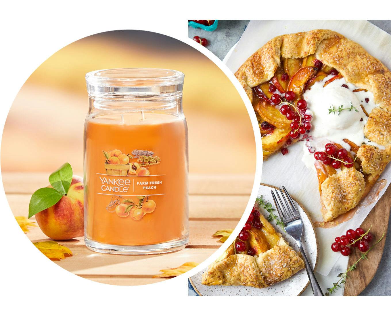 Camping with Sidekick