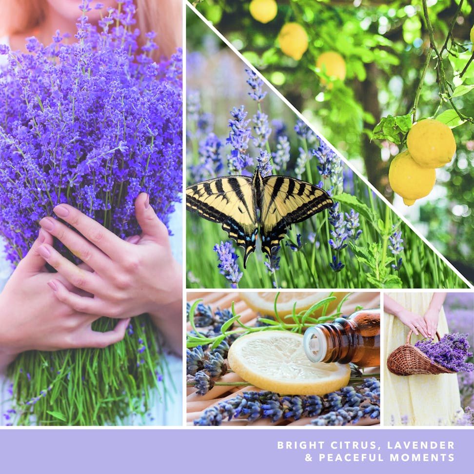 photo collage with text that reads bright citrus lavender and peaceful moments