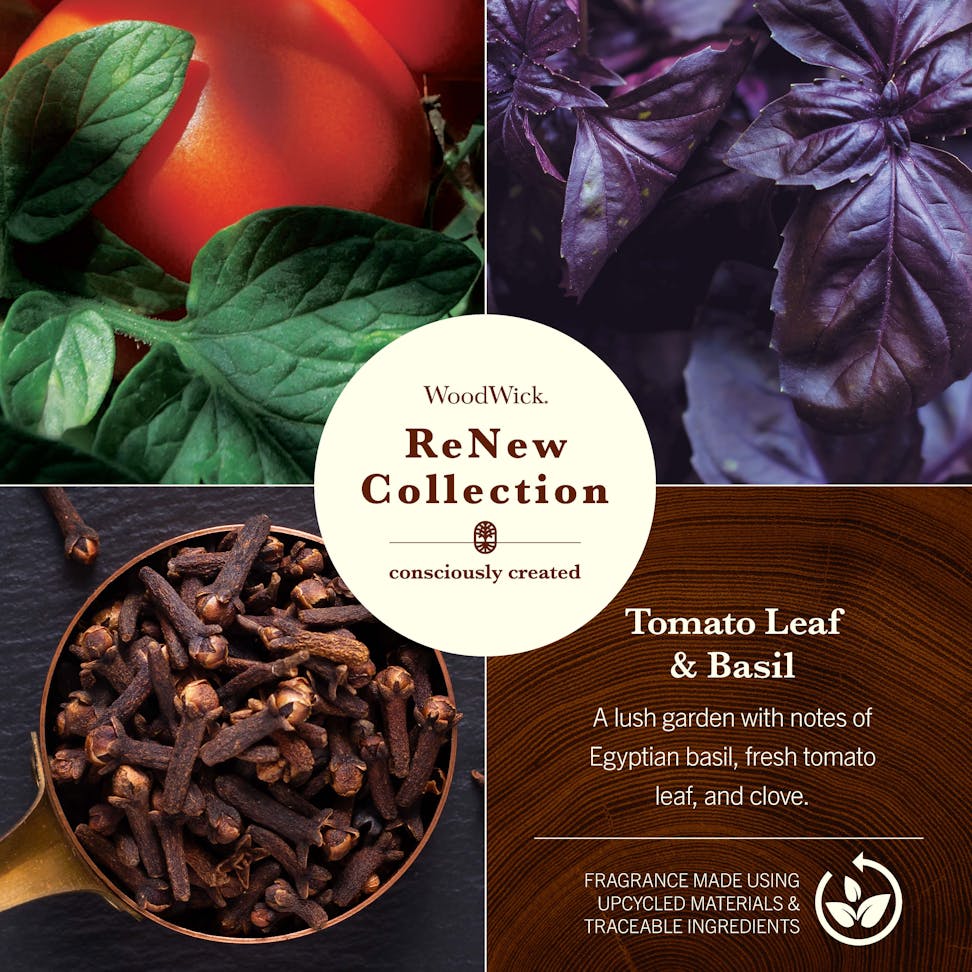 photo collage of woodwick renew collection tomato leaf and basil