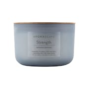 Chesapeake Bay Candle® Aromascape Collection Strength Geranium Oakmoss 3-Wick Coffee Table Jar Candle