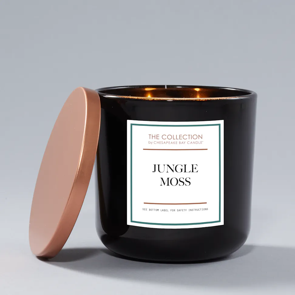 Chesapeake Bay Candle Medium 2 Wick Candle Jungle Moss
