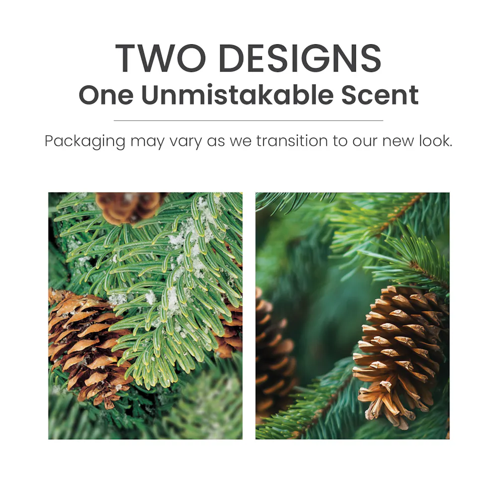 Balsam & Cedar