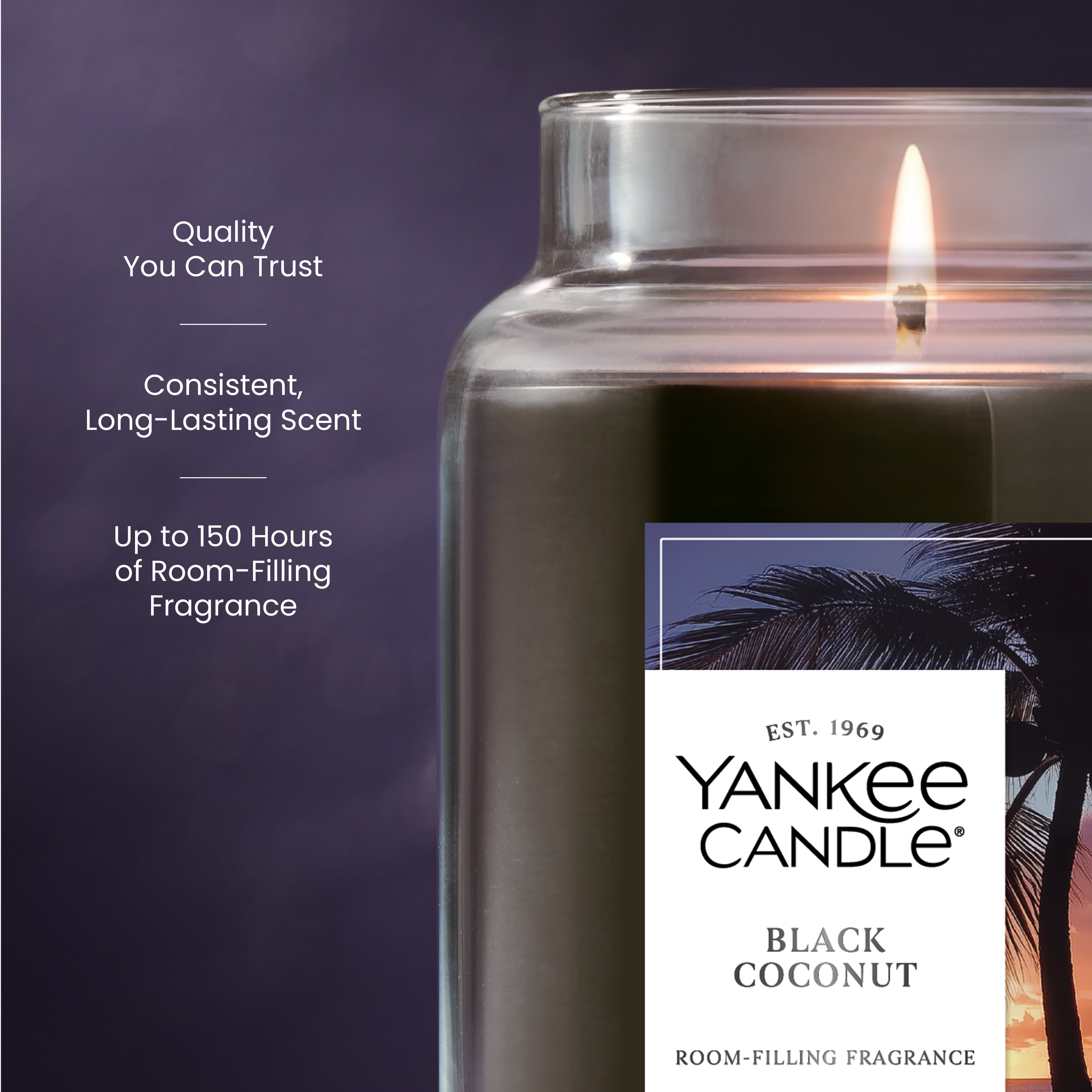 Black Coconut - Thumbnail 3